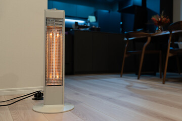 日本の冬の暖房機器、電気ストーブ