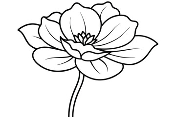 Obraz premium buttercup silhouette line art vector illustration