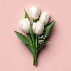 Top view of elegant white tulip flowers bouquet on solid pastel pink background for spring