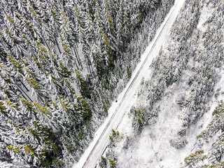 Aerial top view of snowy forest road cutting through winter pine trees captured from drone