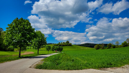 Green field and the narrow asphalt road curving under a blue sky with white clouds near by Meersburg in Germany. Amazing rural landscape.