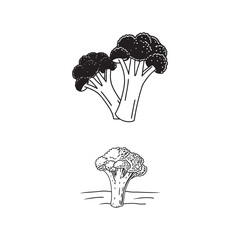 Broccoli Vegetable Line Art 
