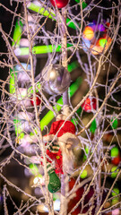 Beautiful Christmas decorations in the famous Christmas Market in Colmar in France on December 26th 2025