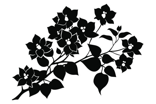 bougainvillea silhouette line art vector illustration