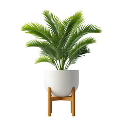 Obraz premium Potted palm plant with green leaves in a white planter isolated on a transparent background