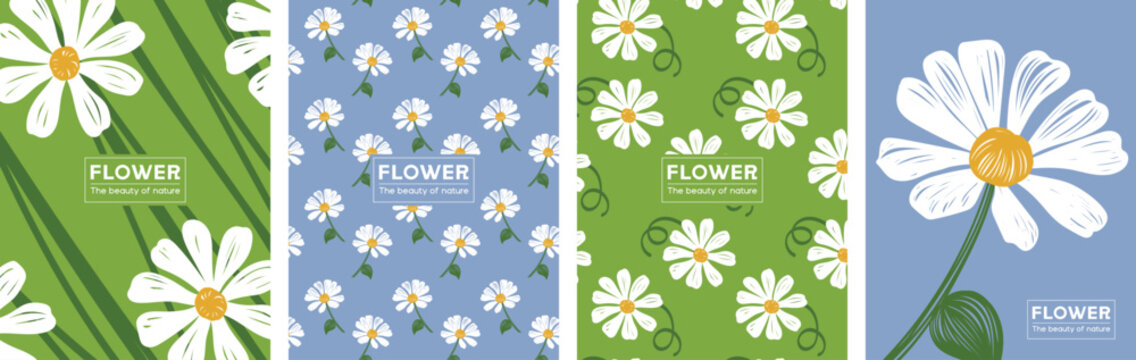 White flower illustrations. Cute floral vector design for art print, book cover, poster, card, label, or background.