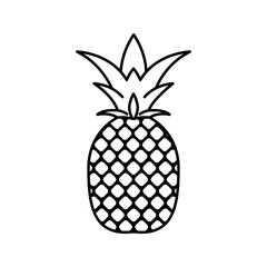 Tropical pineapple fruit line art outline icon vector
