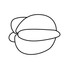 Exotic starfruit carambola line art outline icon vector
