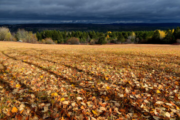 A field after the autumn harvest, Sainte-Apolline, Qu&eacute;bec, Cannada
