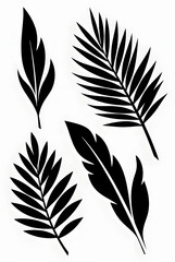 Obraz premium Minimalist Black Palm Leaf Silhouettes Collection Isolated on White Background