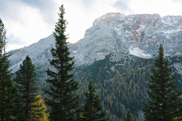 Fototapeta premium Mountain forest - Prato Piazza in Dolomites Italy, fall landscape in the mountains with alpine trees and forests
