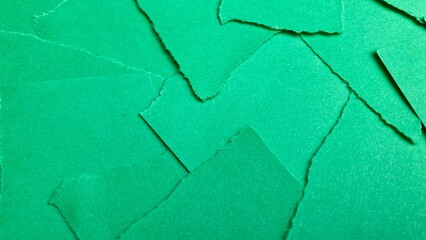 green pieces of torn paper with ripped edges. torn green pieces. Green background from green pieces. Ripped green paper mockup isolated