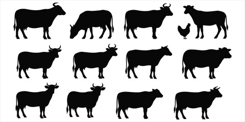 Collection of Black Silhouettes of Cows and One Chicken on White Background animal livestock