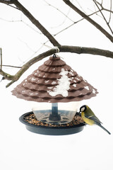 A titmouse eats seeds and bird food from a plastic feeder, against a snowy background, close-up
