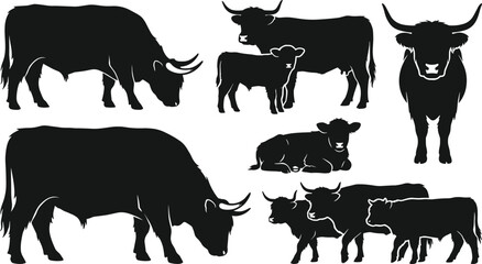 Silhouette Collection Of Farm Cattle Including Bulls Cows And Calves calf livestock © rayhan039