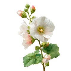 Fototapeta premium Hollyhock Flower, watercolor illustration vector, isolated on a white background.