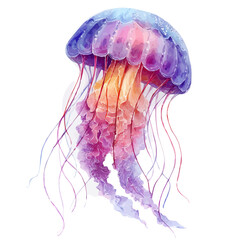 Jellyfish, watercolor painting vector, isolated on a white background. © F-ART