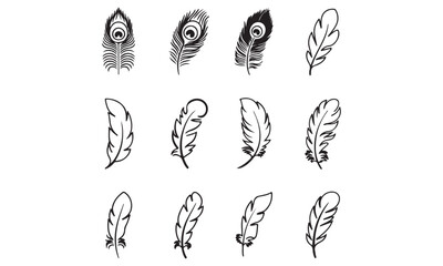 Feathers vector icon design bundle