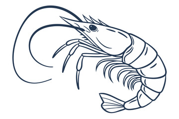 Shrimp Line Drawing Seafood Minimalist Vector Illustration