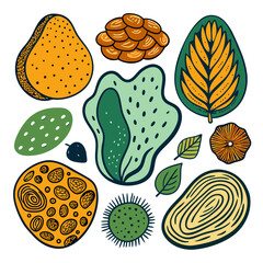 Abstract Organic Hand Drawn Shapes Modern Design Vector