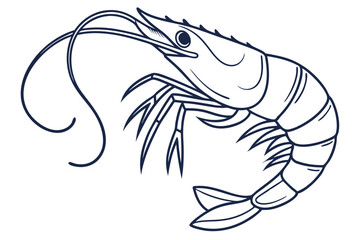 Minimal Shrimp Outline Seafood Line Art Illustration