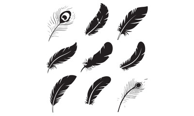 Feathers vector icon design bundle