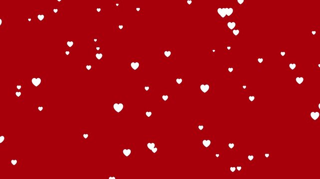 White hearts falling on red background animation loop. romantic white heart shapes moving with alpha channel. beautiful heart particles for wedding and love concepts.