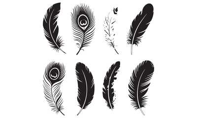 Feathers vector icon design bundle