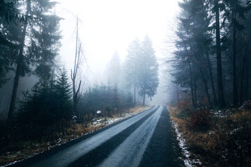 Obraz premium Mystical Foggy Forest in November, Atmospheric Woodland Landscape with Dense Mist in Natural Autumn Light