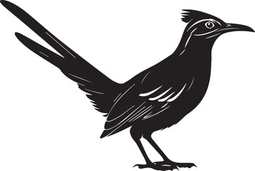 Obraz premium Roadrunner Bird Black Vector Silhouette on White Background
