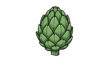 Fototapeta premium A single fresh green artichoke illustrated in a detailed, colorful vintage engraving style, showcasing its layered leaves and texture.