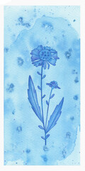 Watercolor Blue Flower, watercolor flower branch illustration