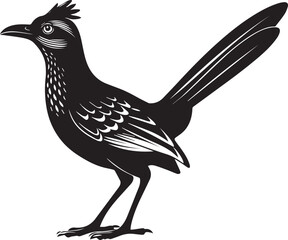 Roadrunner Bird Black Vector Silhouette on White Background