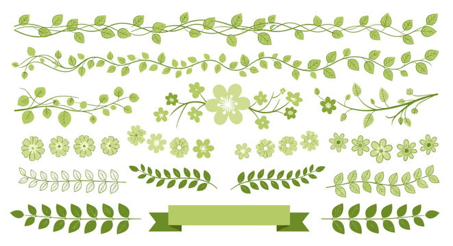 Elegant green leaf borders and floral dividers featuring various vine designs and botanical elements for creative projects.