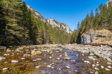 Water stream at Dolina Koscielicka valley. Polish west Tatry mountains in winter