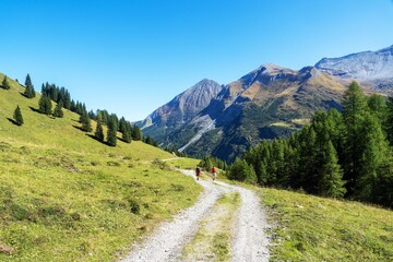 Wandern in Tirol im Zillertal