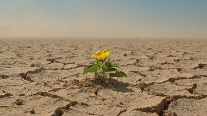 Ultra-photorealistic desert scene with endless cracked earth under harsh sun, centered on a single living flower in sharp focus, symbolizing fragile life against cinematic, documentary-style realism.