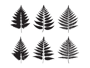 Obraz premium A lovely and detailed fern frond silhouette vector icon collection