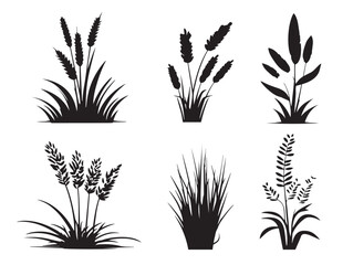 A gorgeous and detailed set of wild grass silhouette illustrations