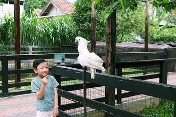 A young child observes a cockatoo in a natural park, learning respect for wildlife, sustainability, and harmony between humans and nature.