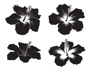 A gorgeous and detailed set of hibiscus flower silhouette illustrations