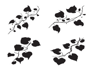 A stunning set of four dynamic black curling ivy vine silhouette icons