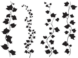 A simple set of four beautiful black ivy vine silhouette vector icons