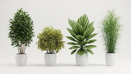 Four distinct potted houseplants arranged in a row on a white background showcasing diverse foliage and pot styles including a tall leafy green