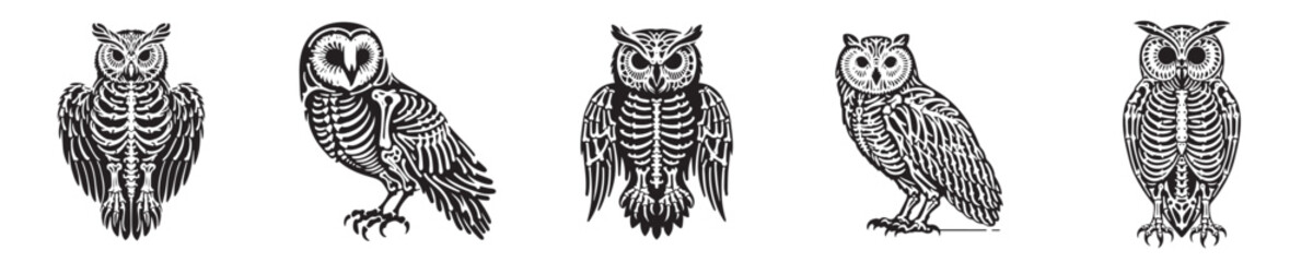 Obraz premium vector set of owl skeleton bones silhouettes