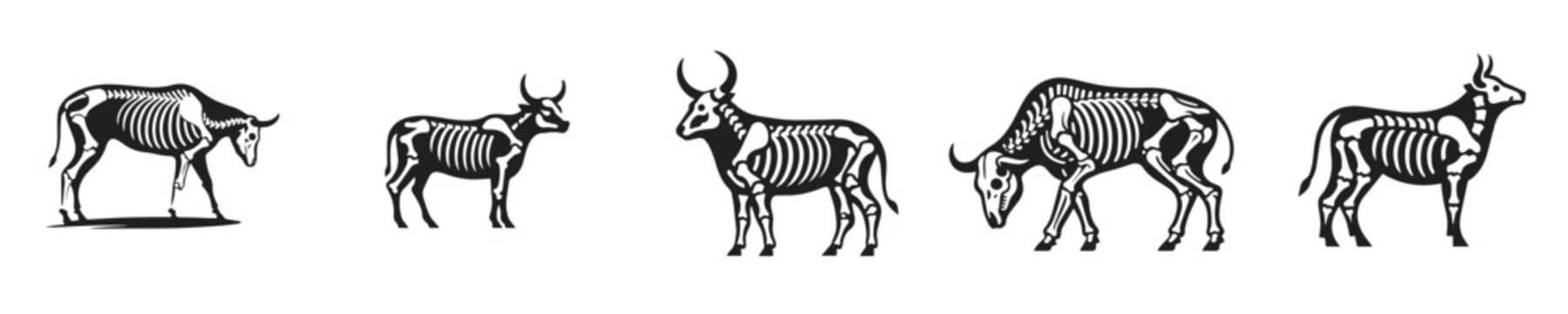 vector set of cow bone skeleton silhouettes
