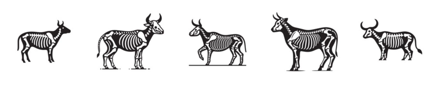 vector set of cow bone skeleton silhouettes