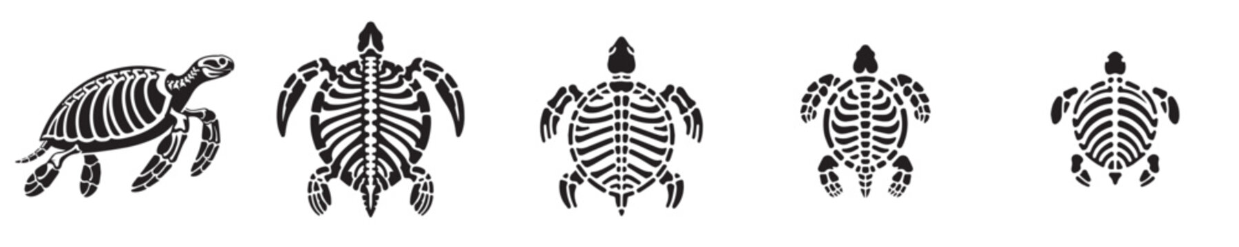 a set of silhouette turtle skeleton vectors