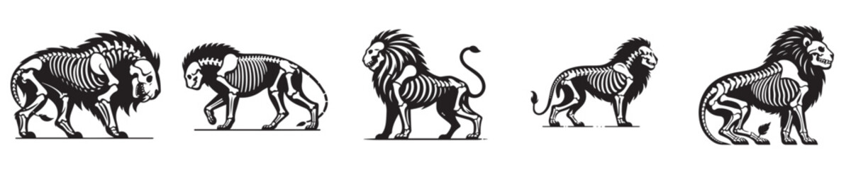 Obraz premium vector set of skeleton lion bones silhouettes