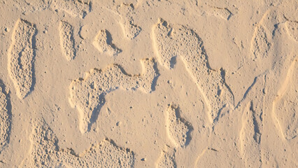 Close-up of Textured Cream Plaster Wall with Uneven Surface, Neutral Minimalist Background